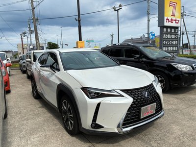 2019 Lexus UX 照片 1