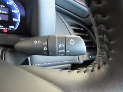 2023 Toyota ALPHARD 缩略图 24
