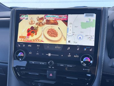 2026 Toyota ALPHARD thumbnail 48