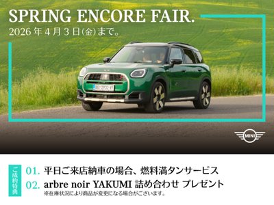 MINI CONVERTIBLE - 4