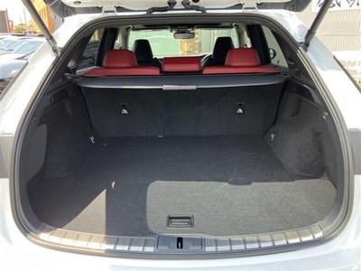 2023 Lexus RX 缩略图 14