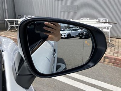 2023 Lexus RX 缩略图 38