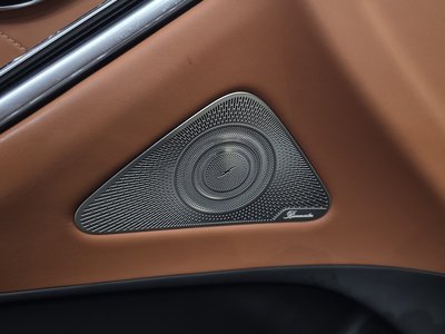 2021 Mercedes-BENZ S-CLASS 缩略图 27