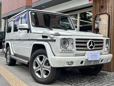 MERCEDES-BENZ G-CLASS - 1