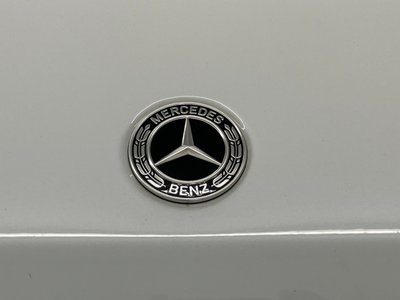 2025 Mercedes-BENZ G-CLASS 照片 8