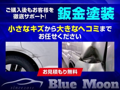2024 TOYOTA ALPHARD 缩略图 59
