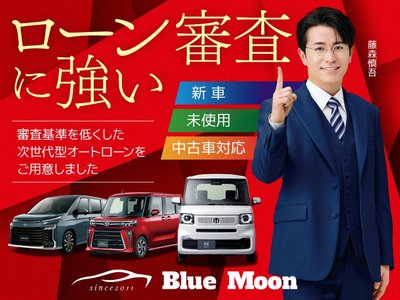 TOYOTA ALPHARD - 3