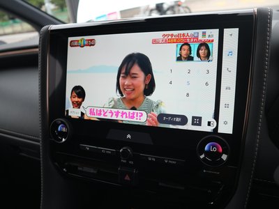 2024 TOYOTA ALPHARD 缩略图 30