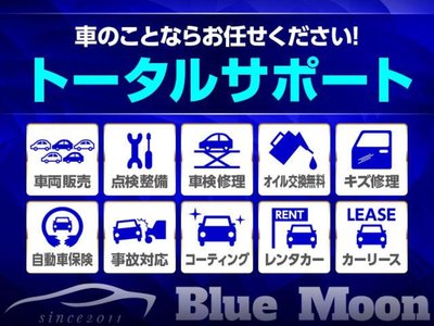 2024 TOYOTA ALPHARD 缩略图 44