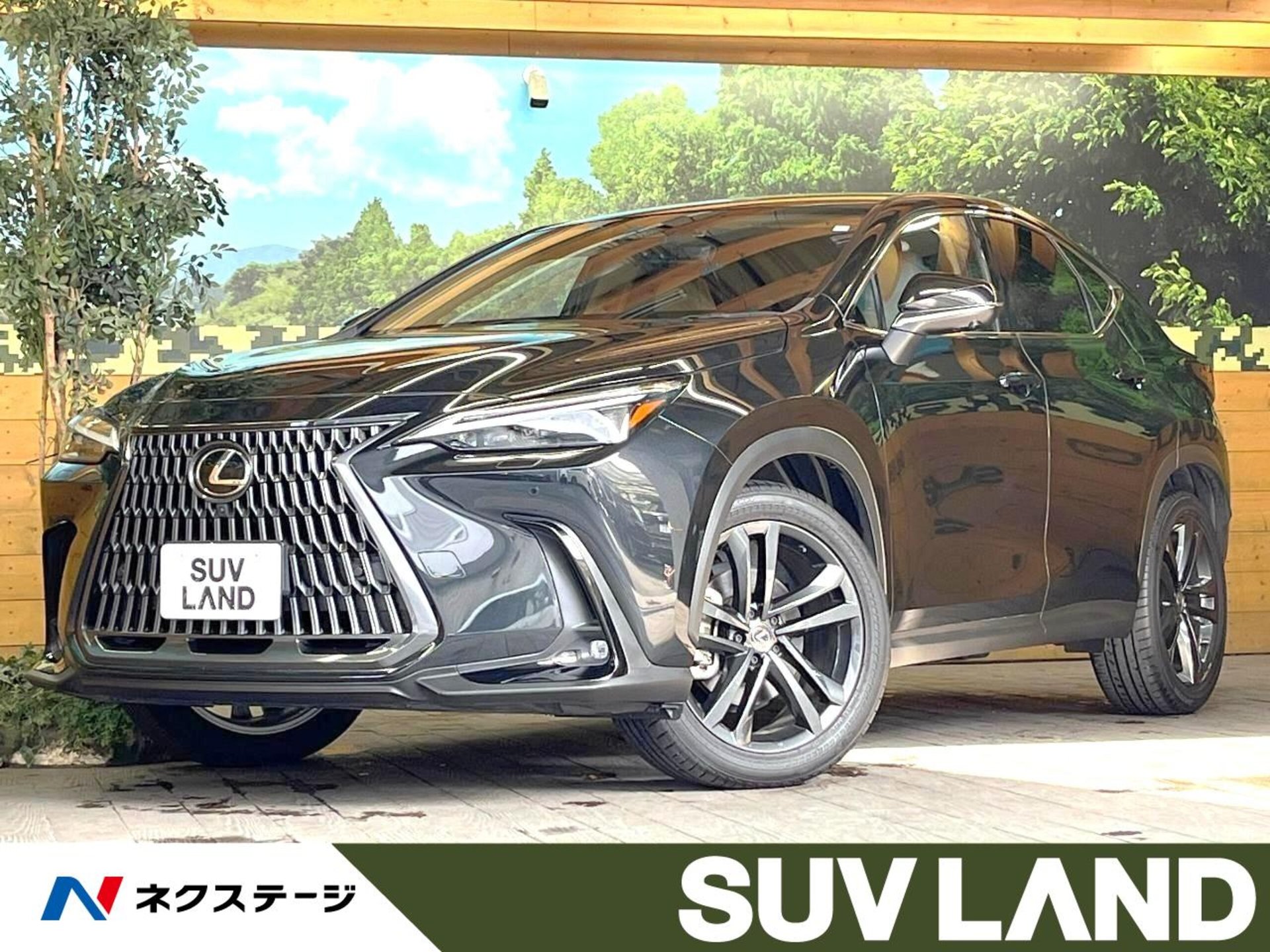 LEXUS NX - View 1