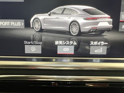 2021 Porsche PANAMERA 缩略图 16