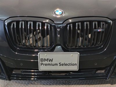 2023 BMW X4 — миниатюра 31