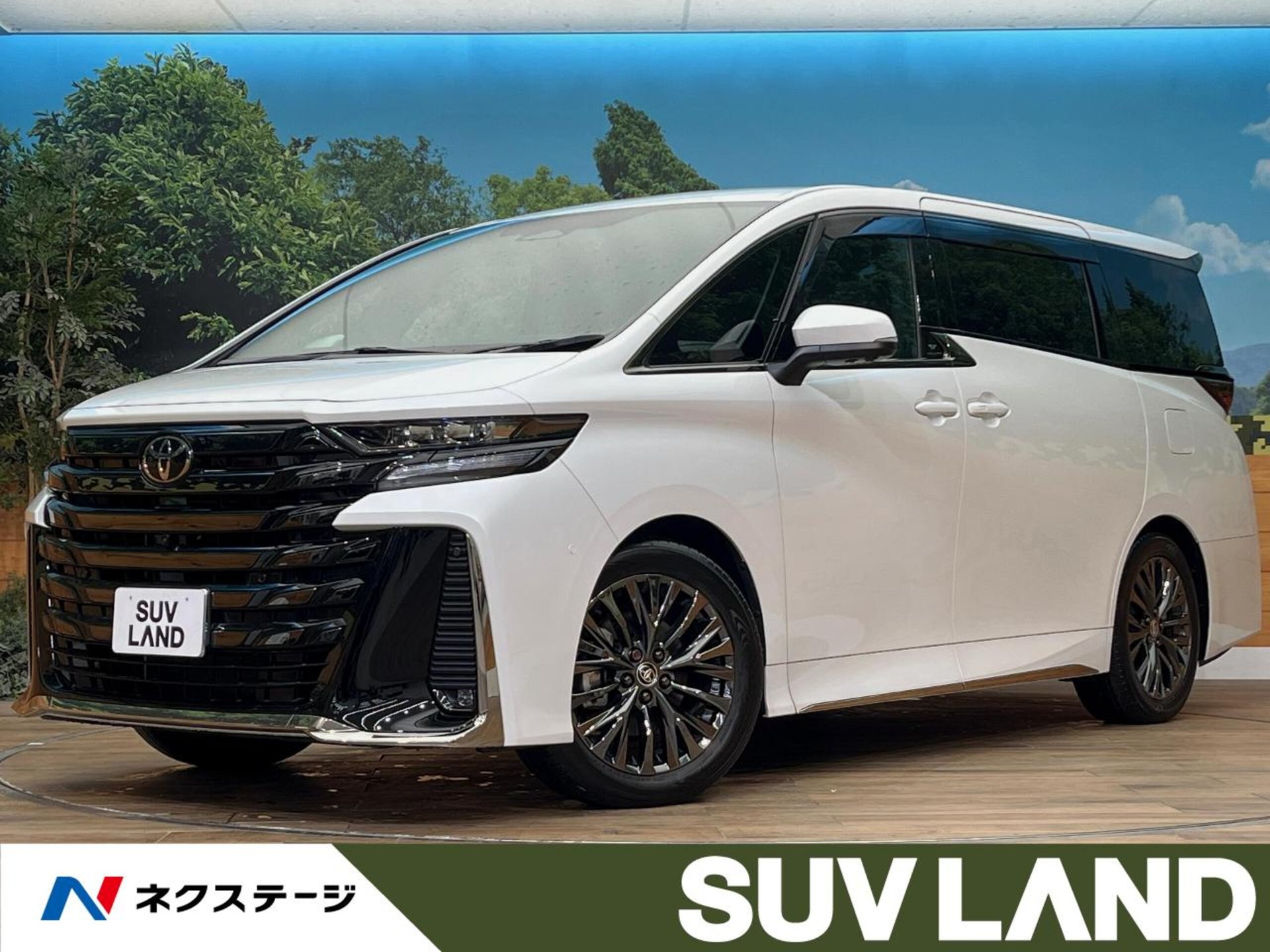 TOYOTA VELLFIRE - View 1