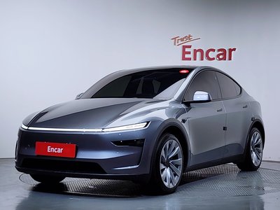 TESLA MODEL Y - 1