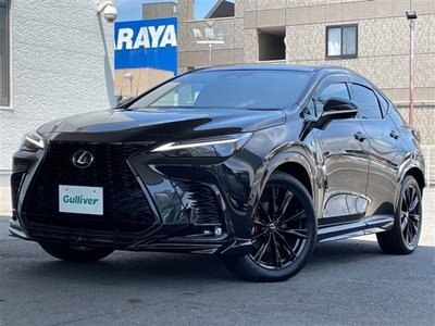 Thumbnail 29