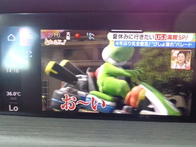 ALFA ROMEO STELVIO - 10