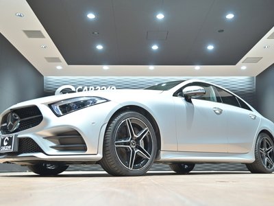 2019 Mercedes-BENZ CLS — миниатюра 61