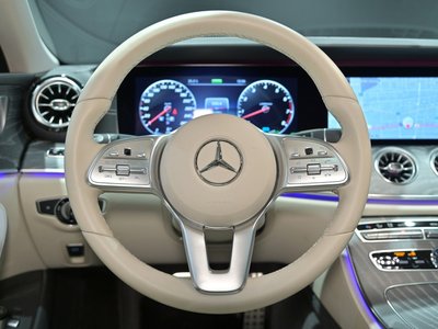 2019 Mercedes-BENZ CLS — миниатюра 25