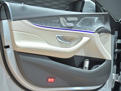 2019 Mercedes-BENZ CLS — миниатюра 24