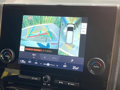 2025 TOYOTA ALPHARD 缩略图 27