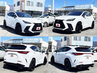 LEXUS NX - 5