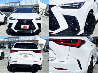 LEXUS NX - 6