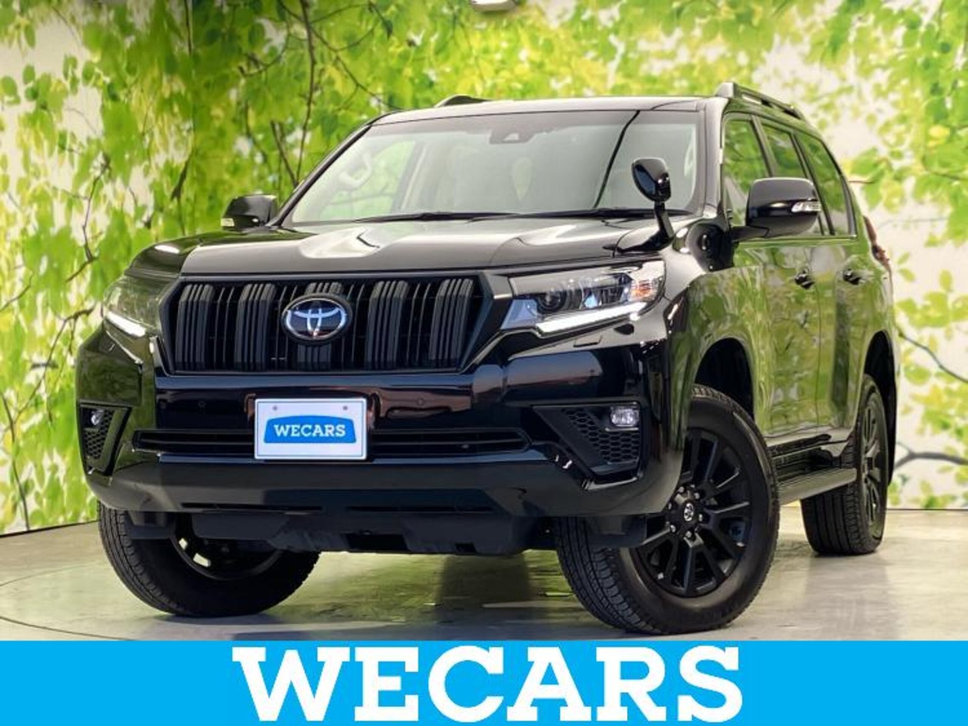 TOYOTA LAND CRUISER PRADO - View 1