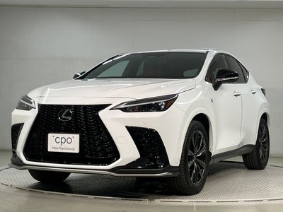 LEXUS NX - 1