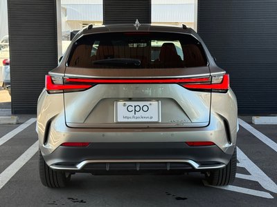 2023 Lexus NX 照片 3
