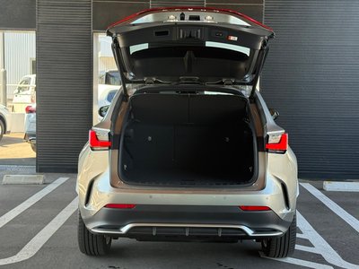 2023 Lexus NX 照片 4