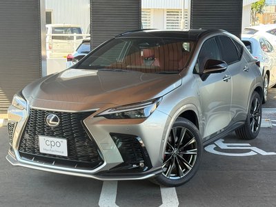 2023 Lexus NX 照片 1