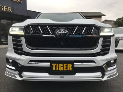 TOYOTA LAND CRUISER 300 - 7