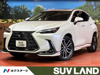 LEXUS NX - 1