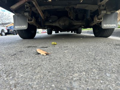 NISSAN DATSUN TRUCK - 7