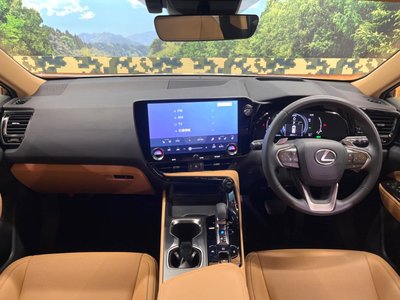 LEXUS NX - 2