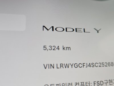 2025 Tesla MODEL Y 照片 8