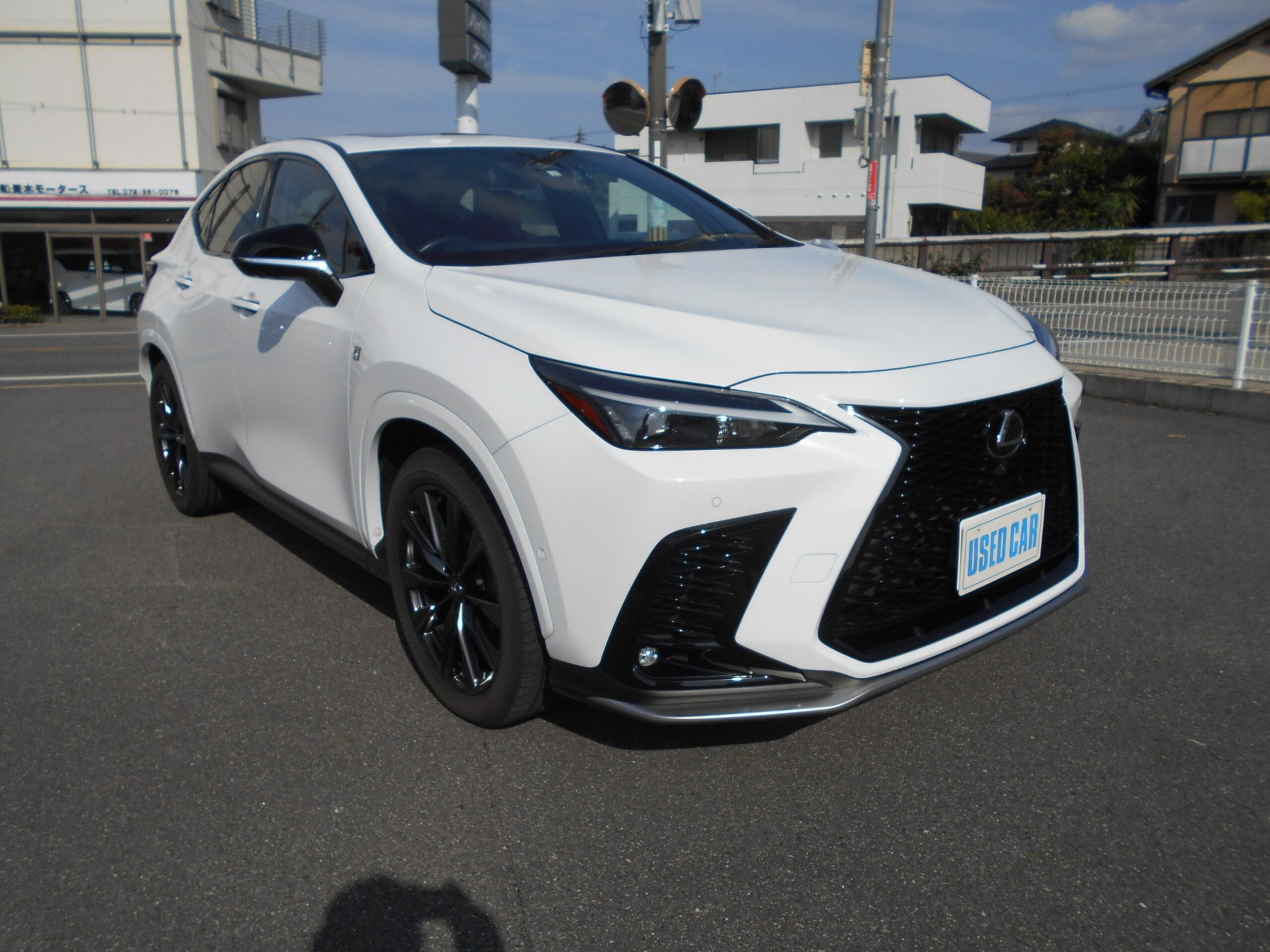 LEXUS NX - View 1