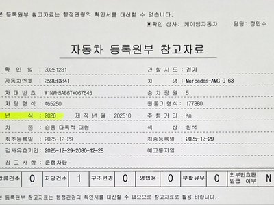 MERCEDES-BENZ G-CLASS - 6