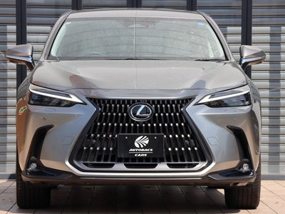 LEXUS NX - 4