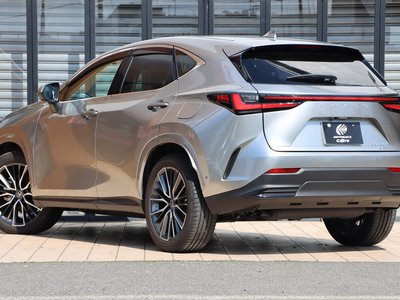 LEXUS NX - 10