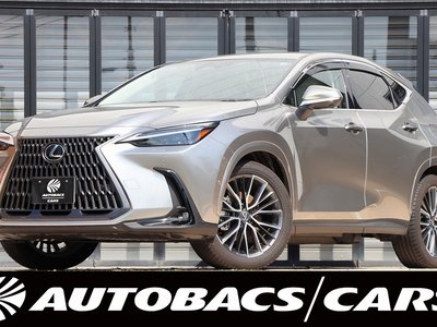 LEXUS NX - 1