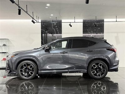LEXUS NX - 2