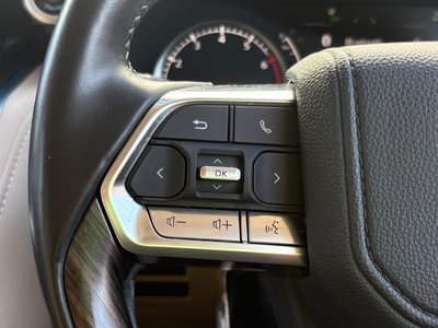 2023 Toyota LAND CRUISER 300 缩略图 110