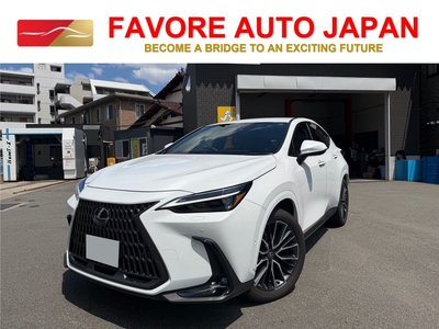 2026 Lexus NX 照片 1