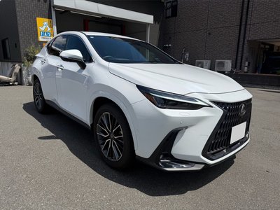 2026 Lexus NX 照片 10