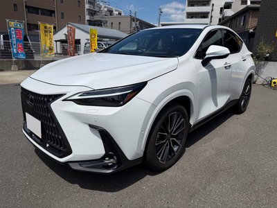 صورة مصغرة 14 لـ 2026 Lexus NX