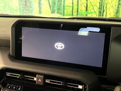 2025 Toyota LAND CRUISER 250 照片 4
