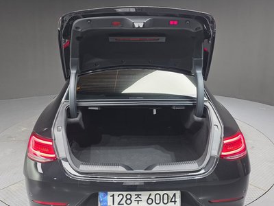 2021 Mercedes-BENZ CLS 缩略图 20