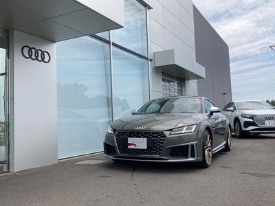2023 AUDI TTS COUPE 缩略图 48