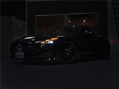 صورة 9 لـ 2024 Mercedes-BENZ GT AMG